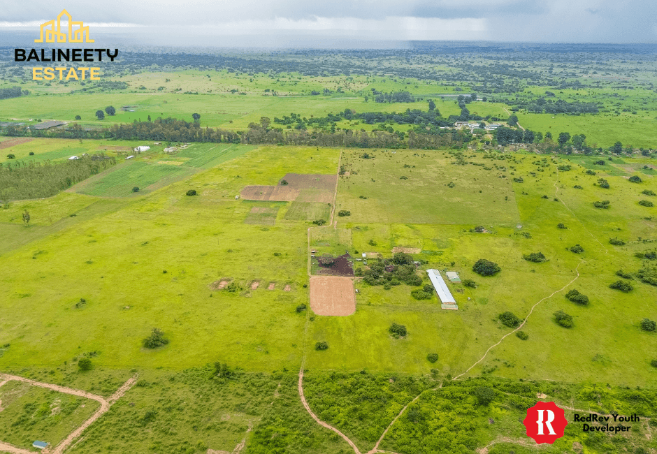 Balineety Stands for Sale - main image