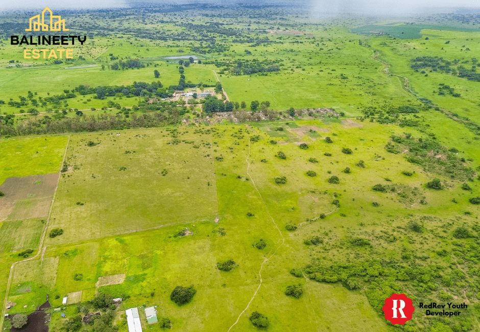 Balineety Stands for Sale thumbnail 10