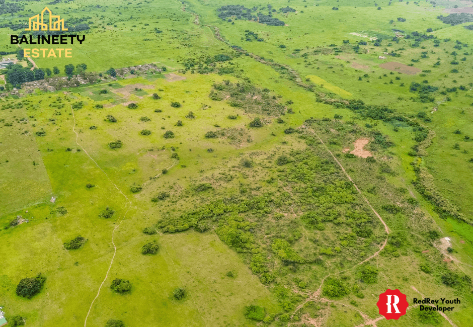 Balineety Stands for Sale thumbnail 3