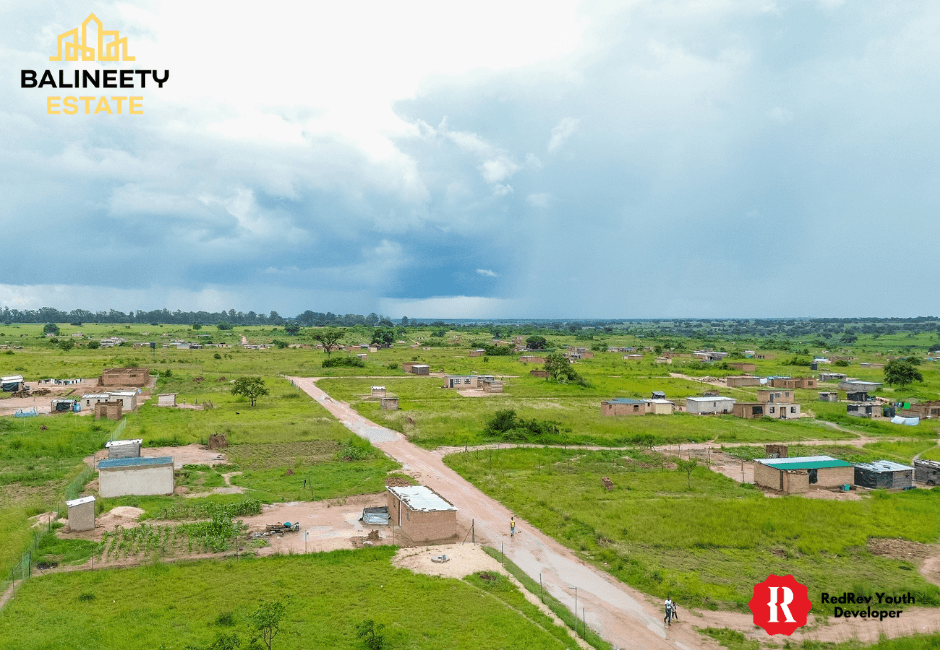 Balineety Stands for Sale thumbnail 4