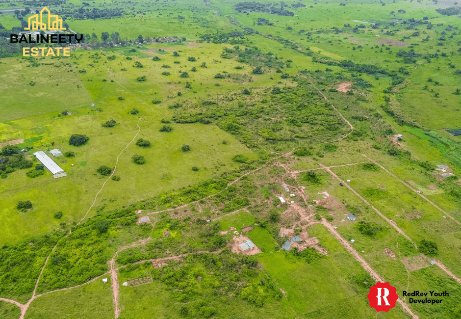 Balineety Stands for Sale thumbnail 5