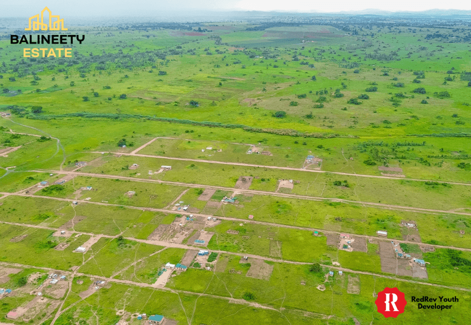 Balineety Stands for Sale thumbnail 8