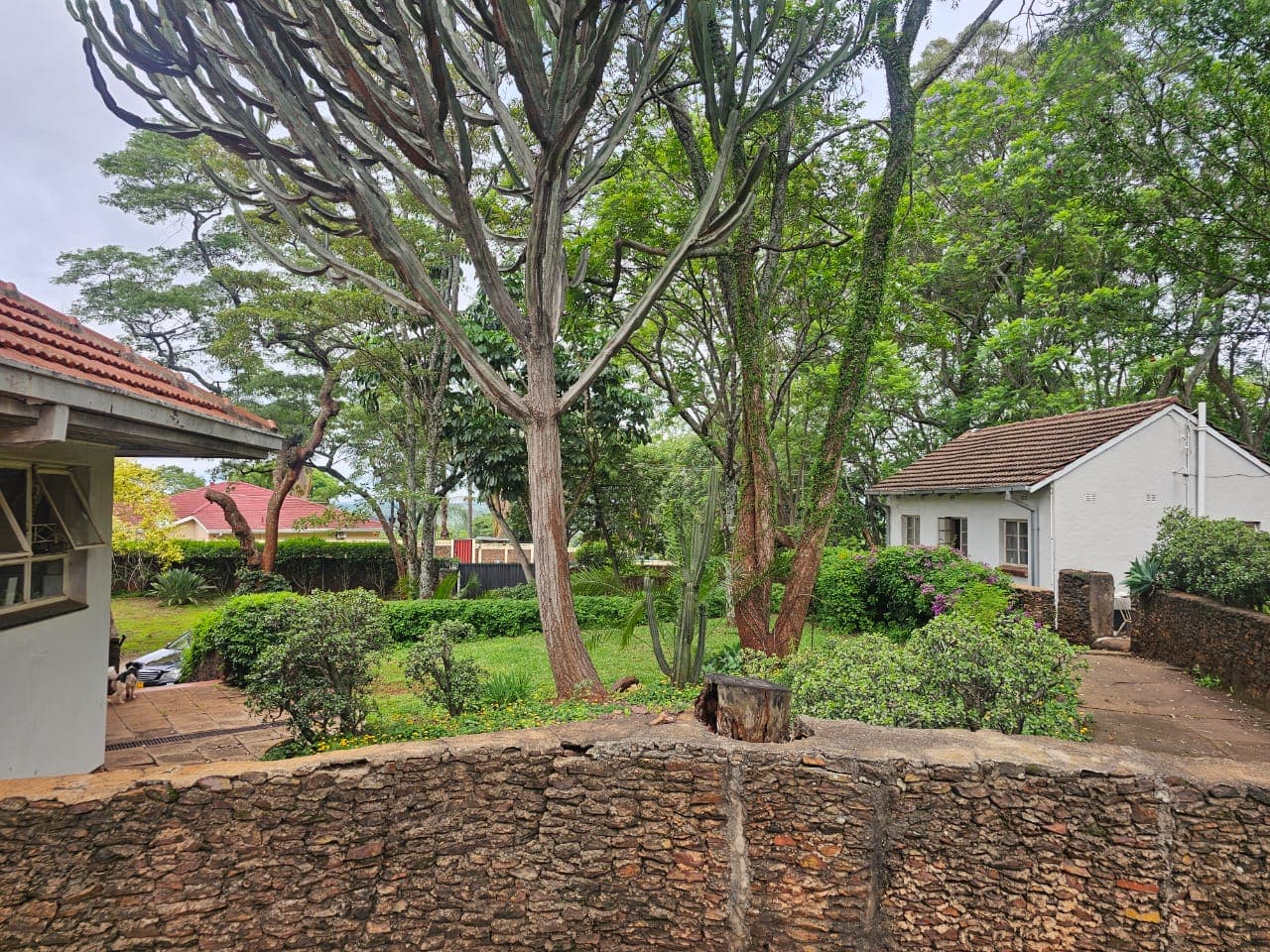 House For Sale In Avondale thumbnail 6