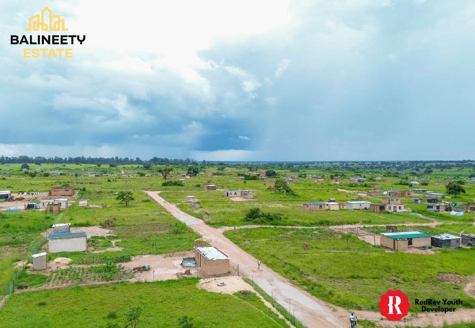 Balineety Stands for Sale thumbnail 6