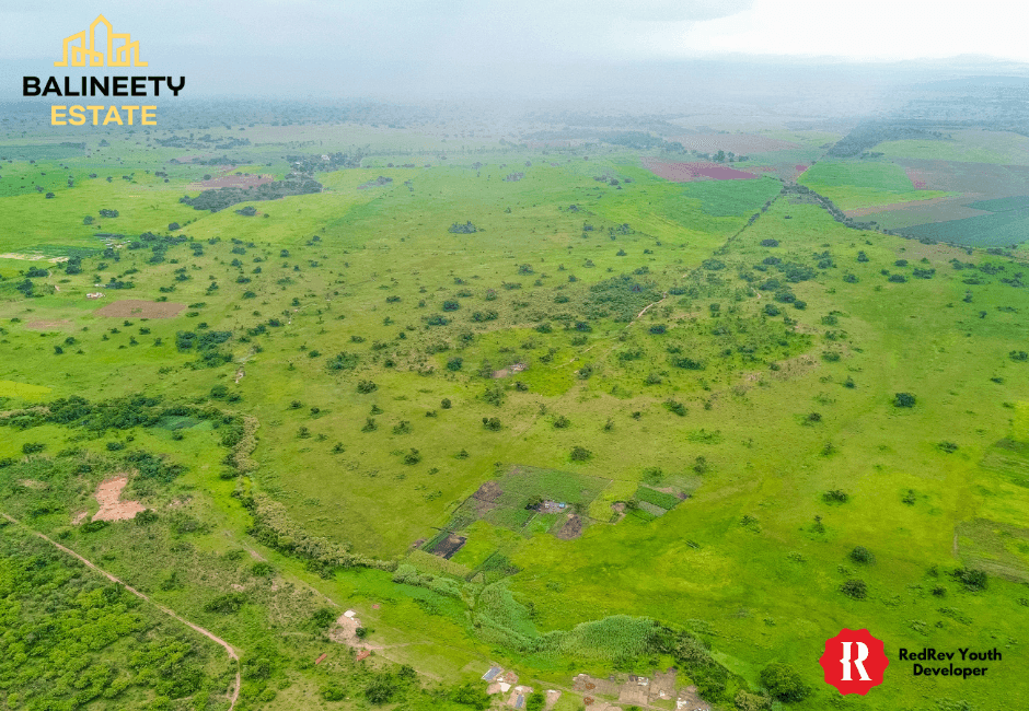 Balineety Stands for Sale thumbnail 9